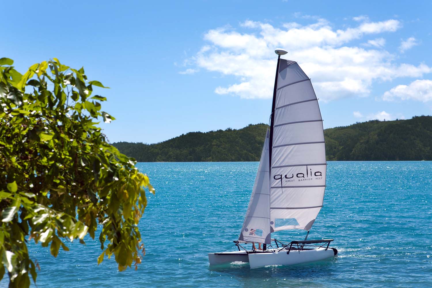 Hamilton Island Qualia