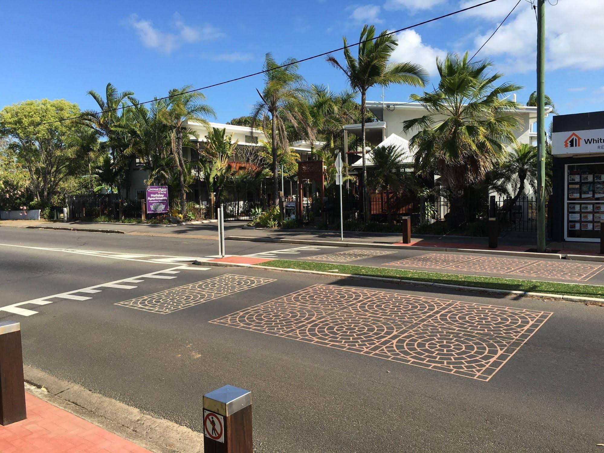 Coconut Palms on the Bay