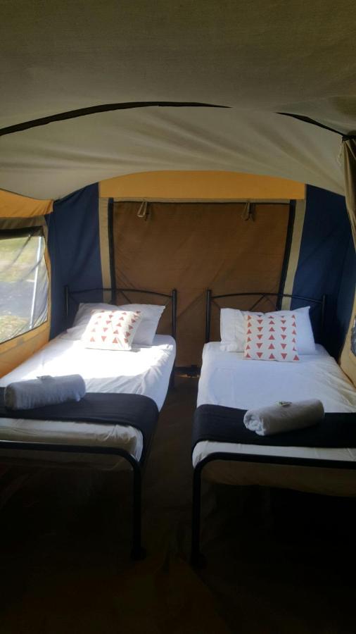 Fraser Coast Top Tourist Park