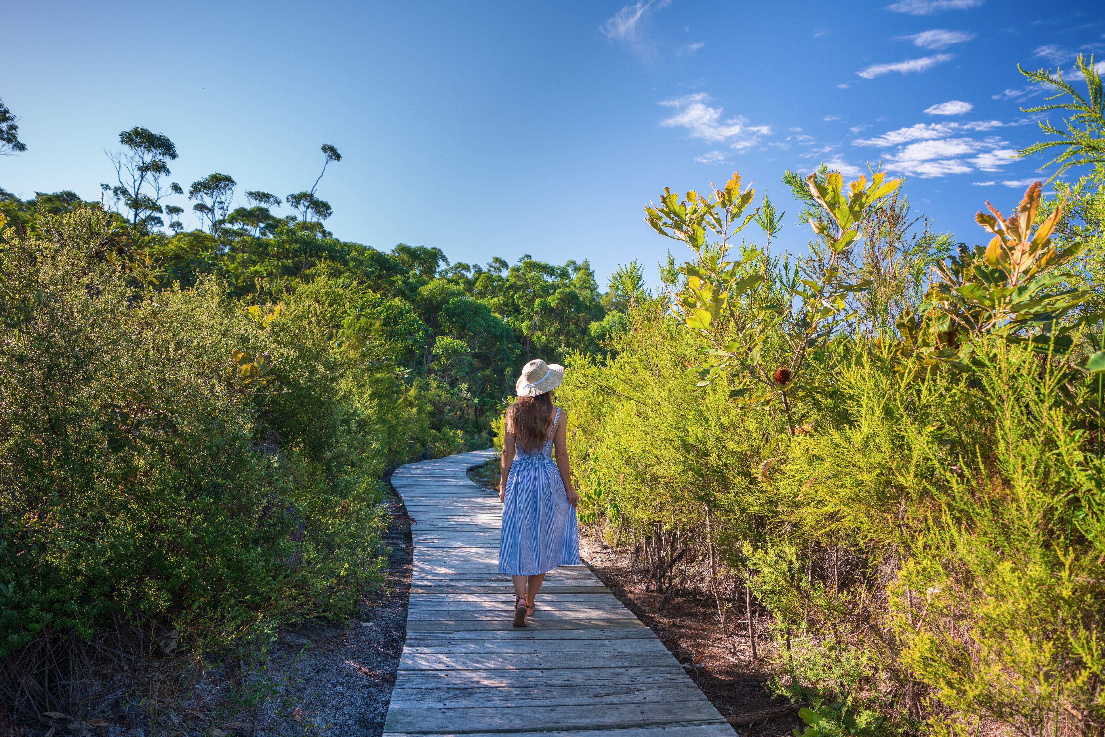Kingfisher Bay Resort
