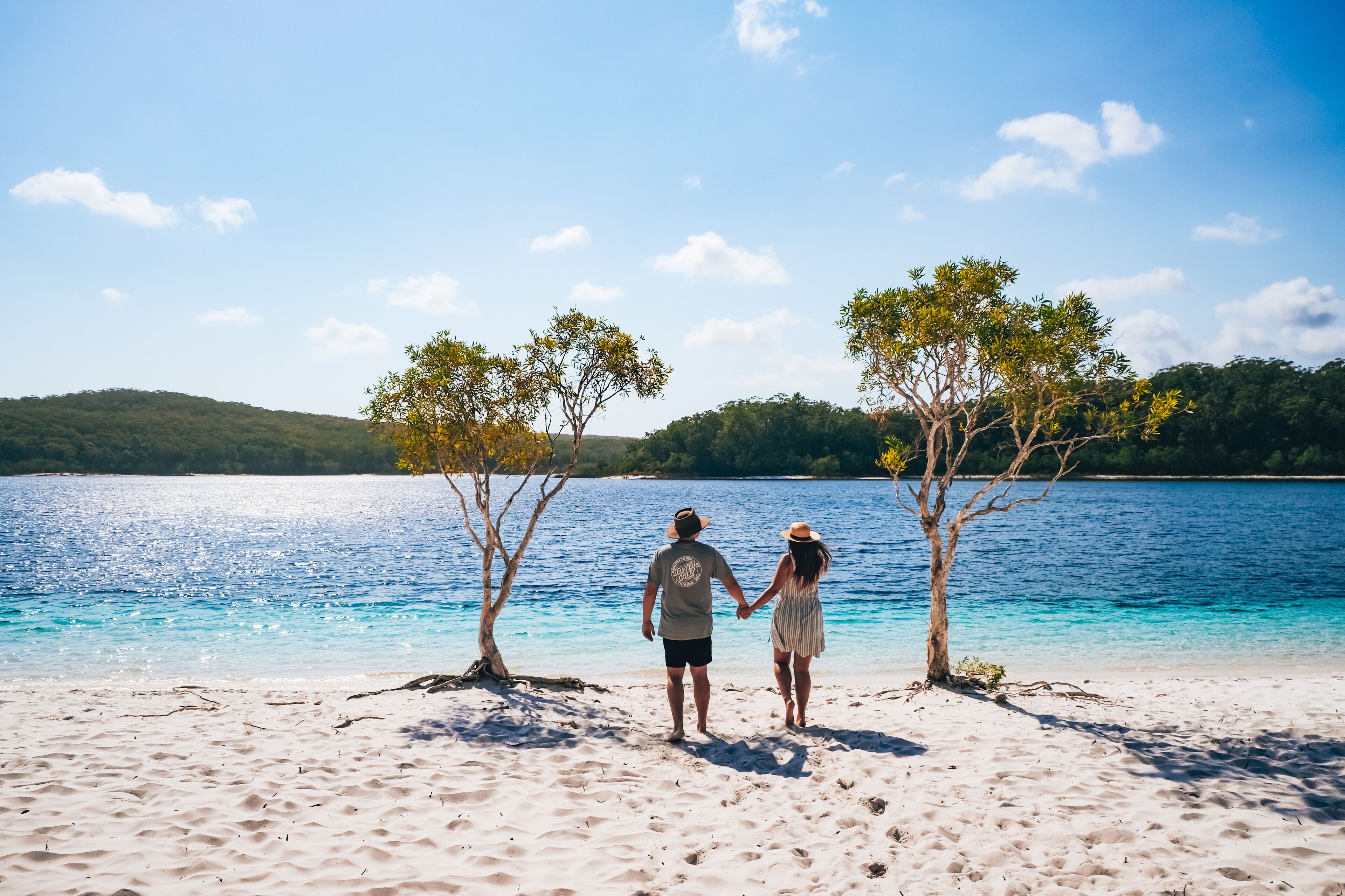 Kingfisher Bay Resort