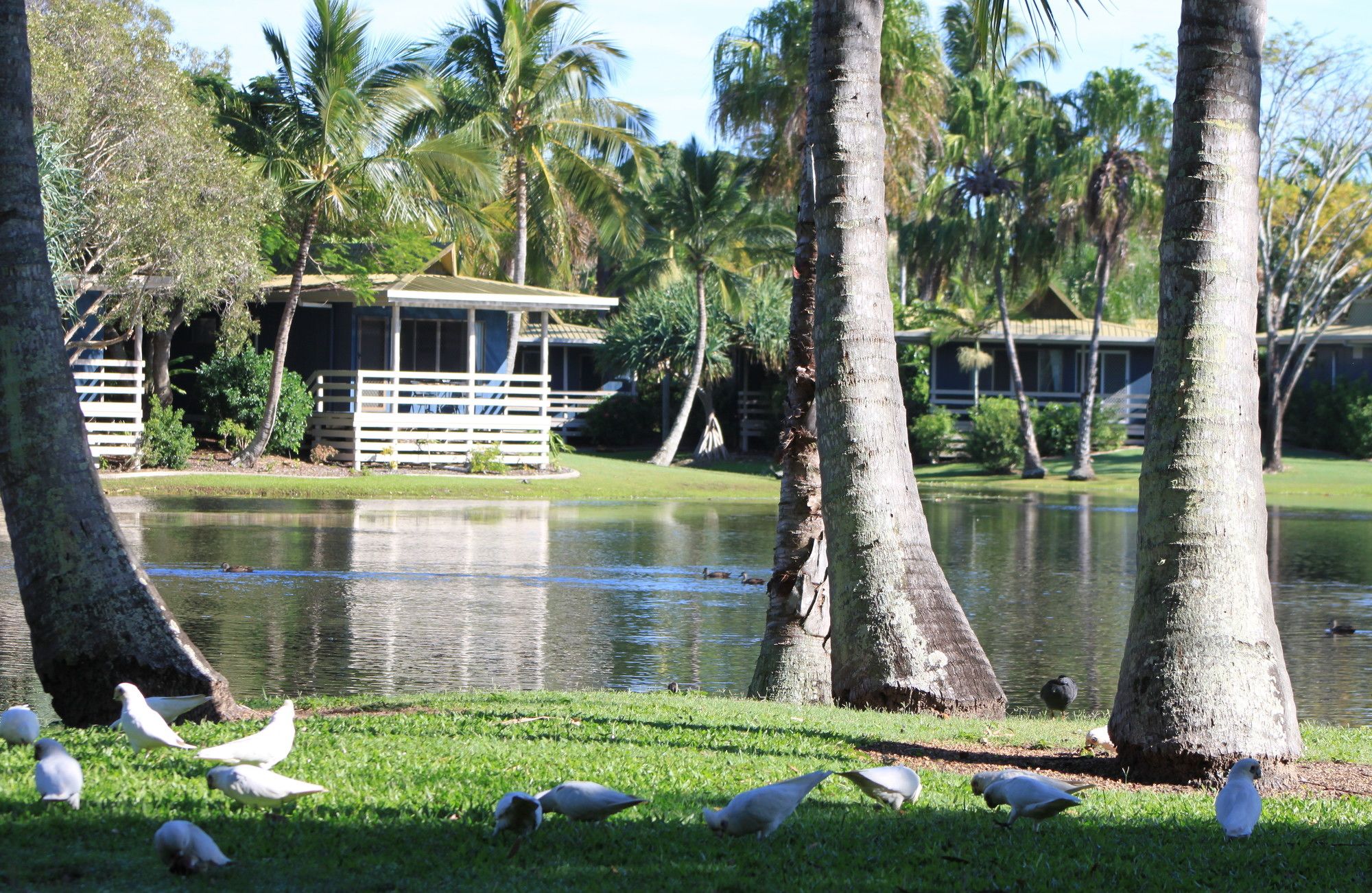 Sanctuary Lakes Fauna Retreat