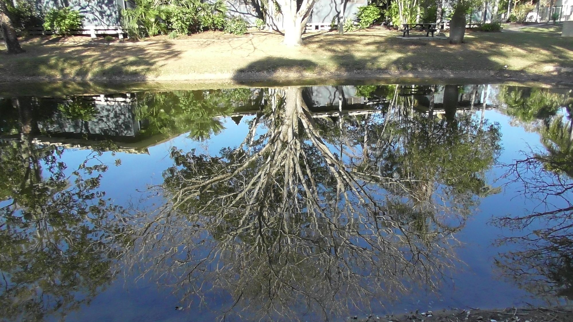 Sanctuary Lakes Fauna Retreat