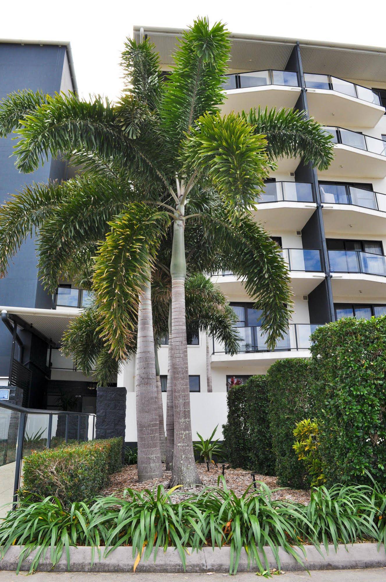 The Bay Apartments