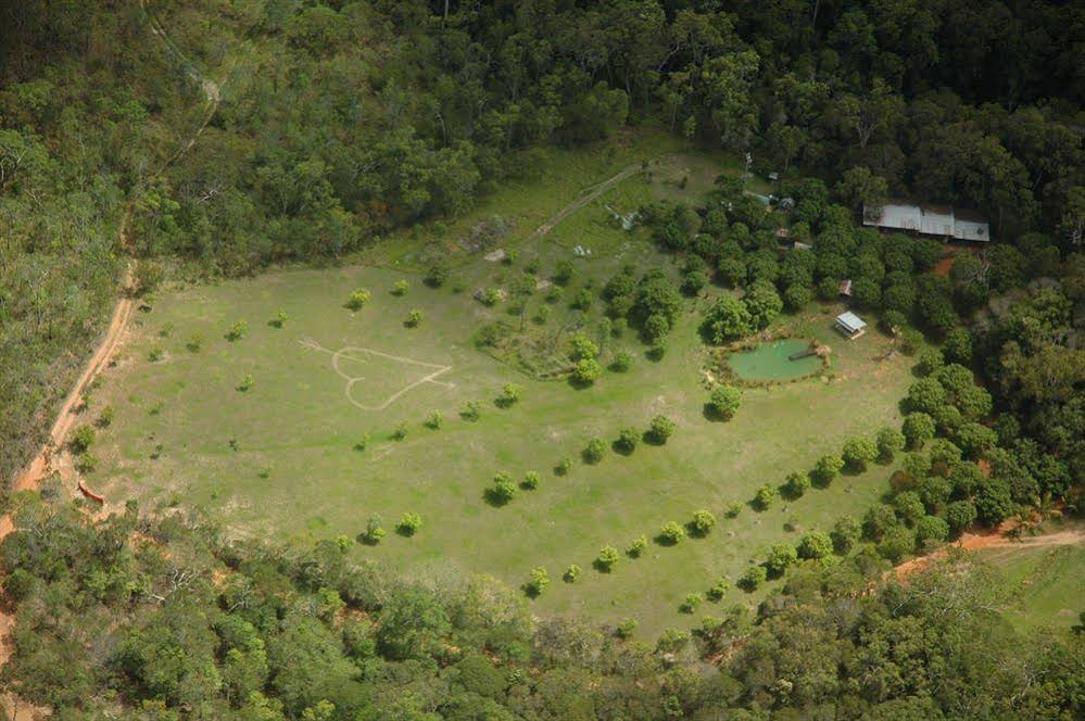 Cedar Park Rainforest Resort