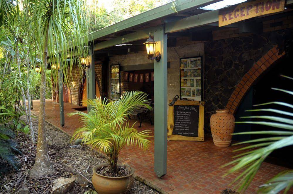 Cedar Park Rainforest Resort