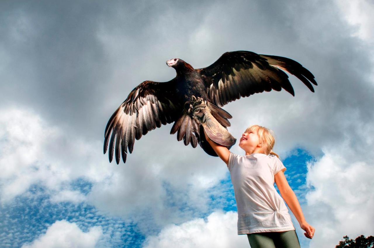 O'Reilly's Rainforest Retreat