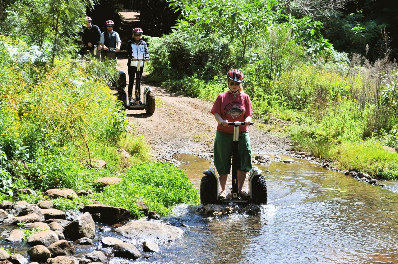 O'Reilly's Rainforest Retreat