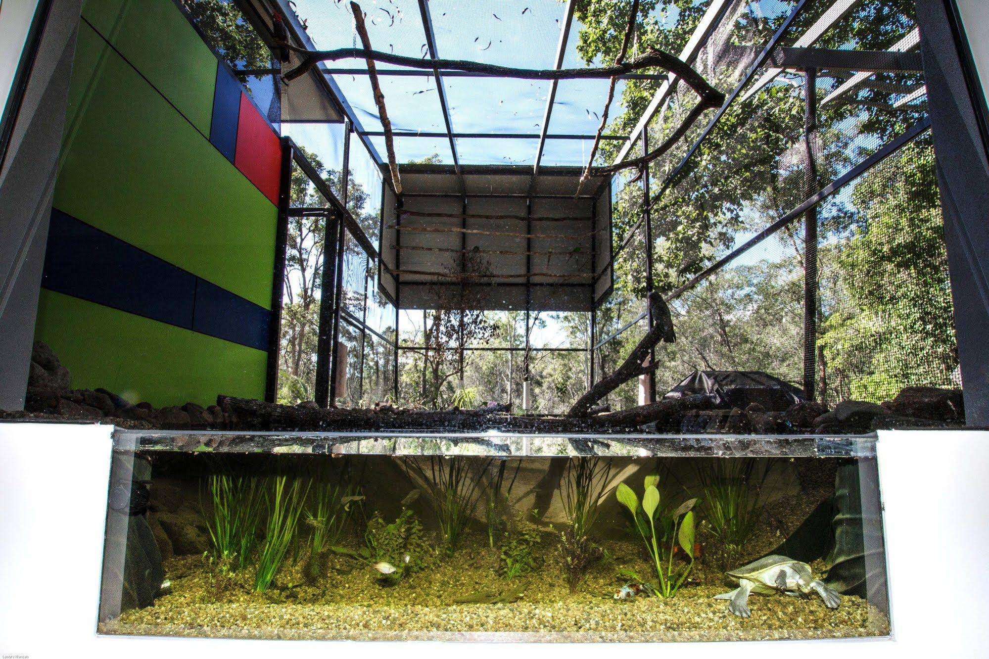 The Feathered Nest - Luxury Wildlife Retreat