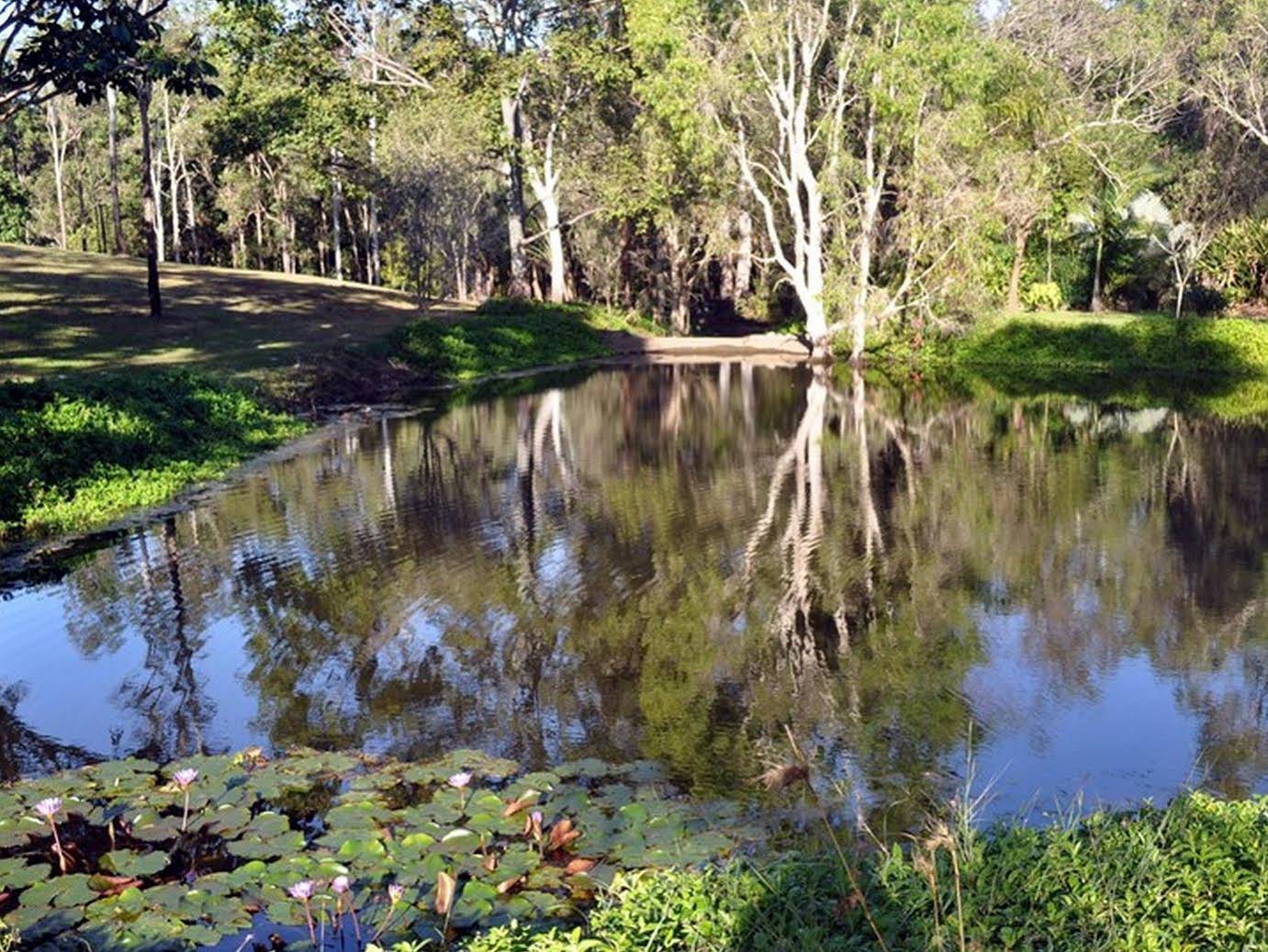The Feathered Nest - Luxury Wildlife Retreat