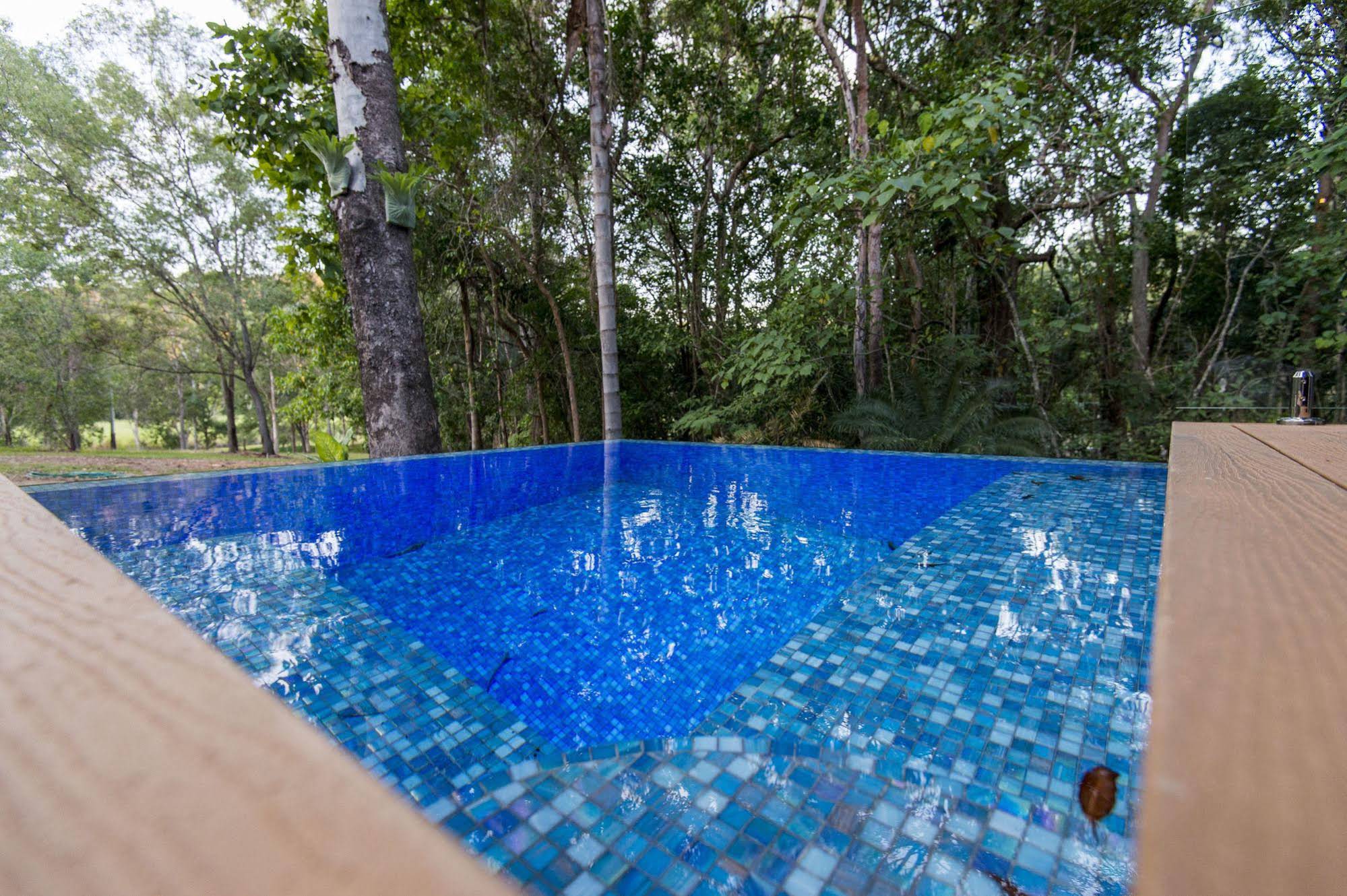 The Feathered Nest - Luxury Wildlife Retreat