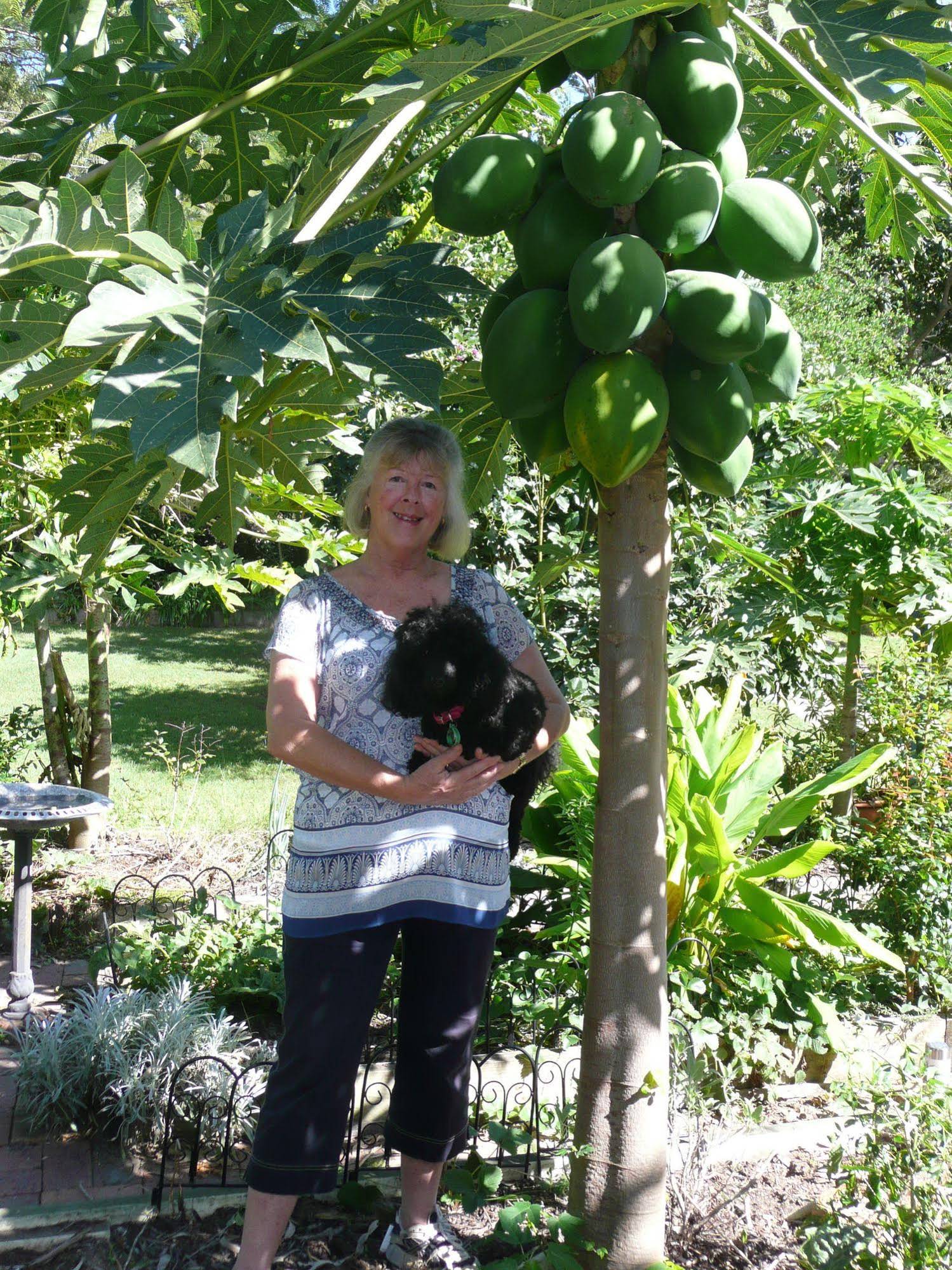 Yarrandabbi Dreaming