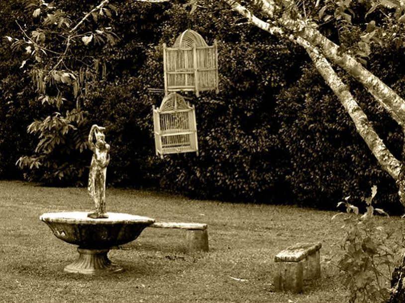 Peppertree Cottage Bed And Breakfast