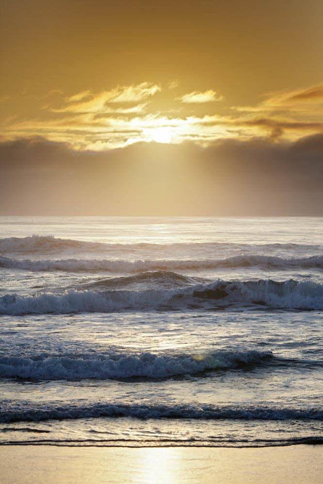 Langley Park Apartments