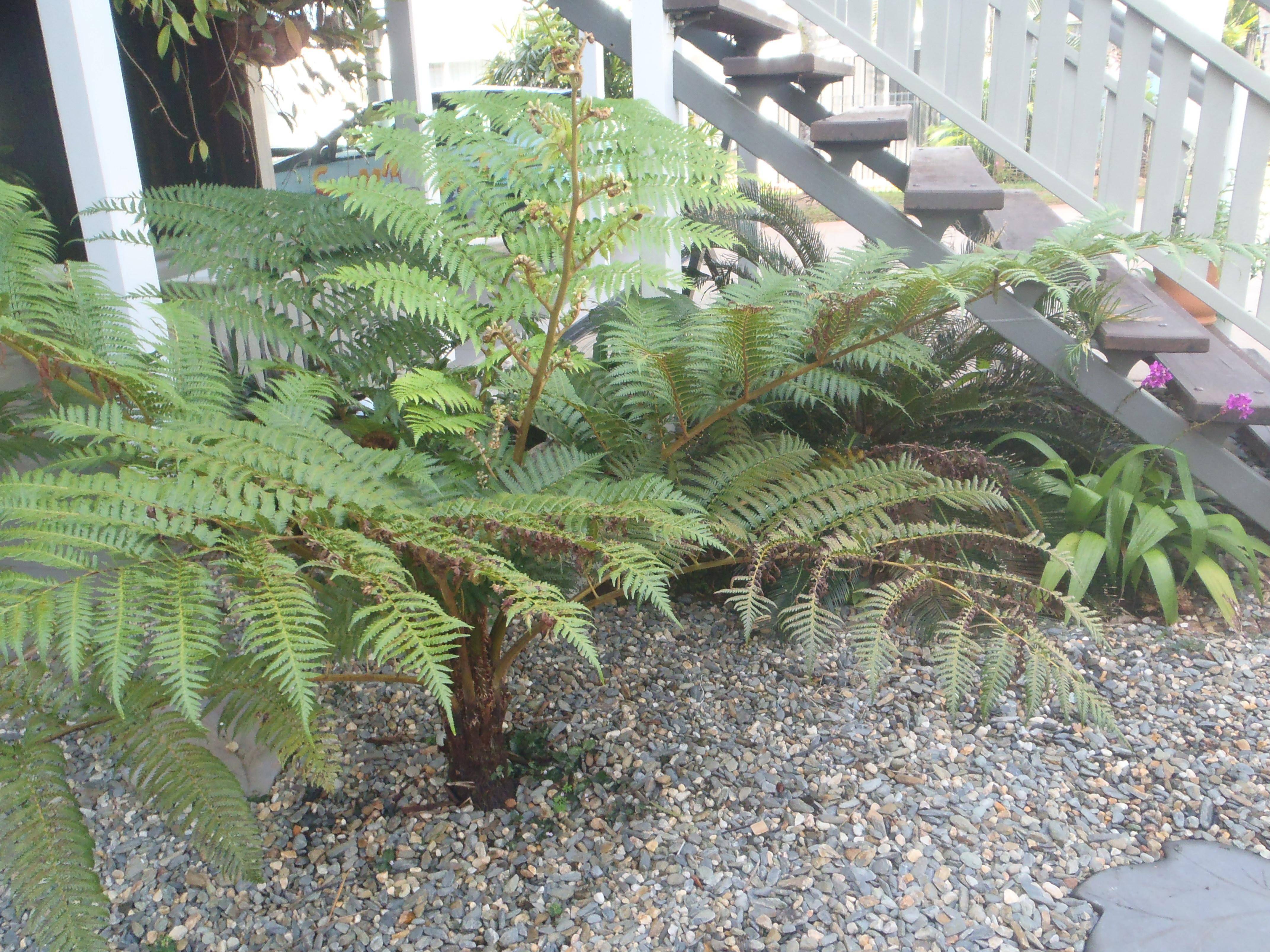 Driftwood Bed & Breakfast