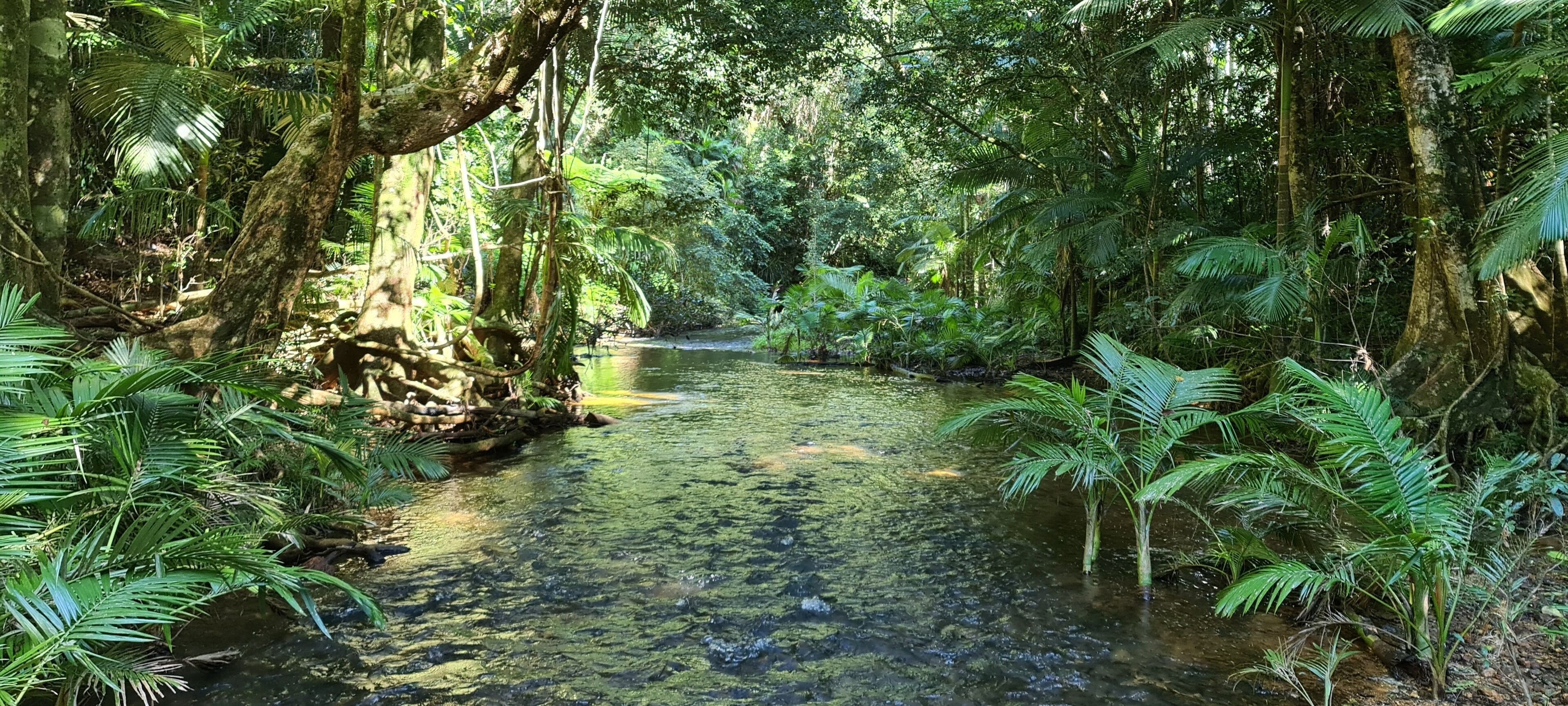 Seadreams Mission Beach