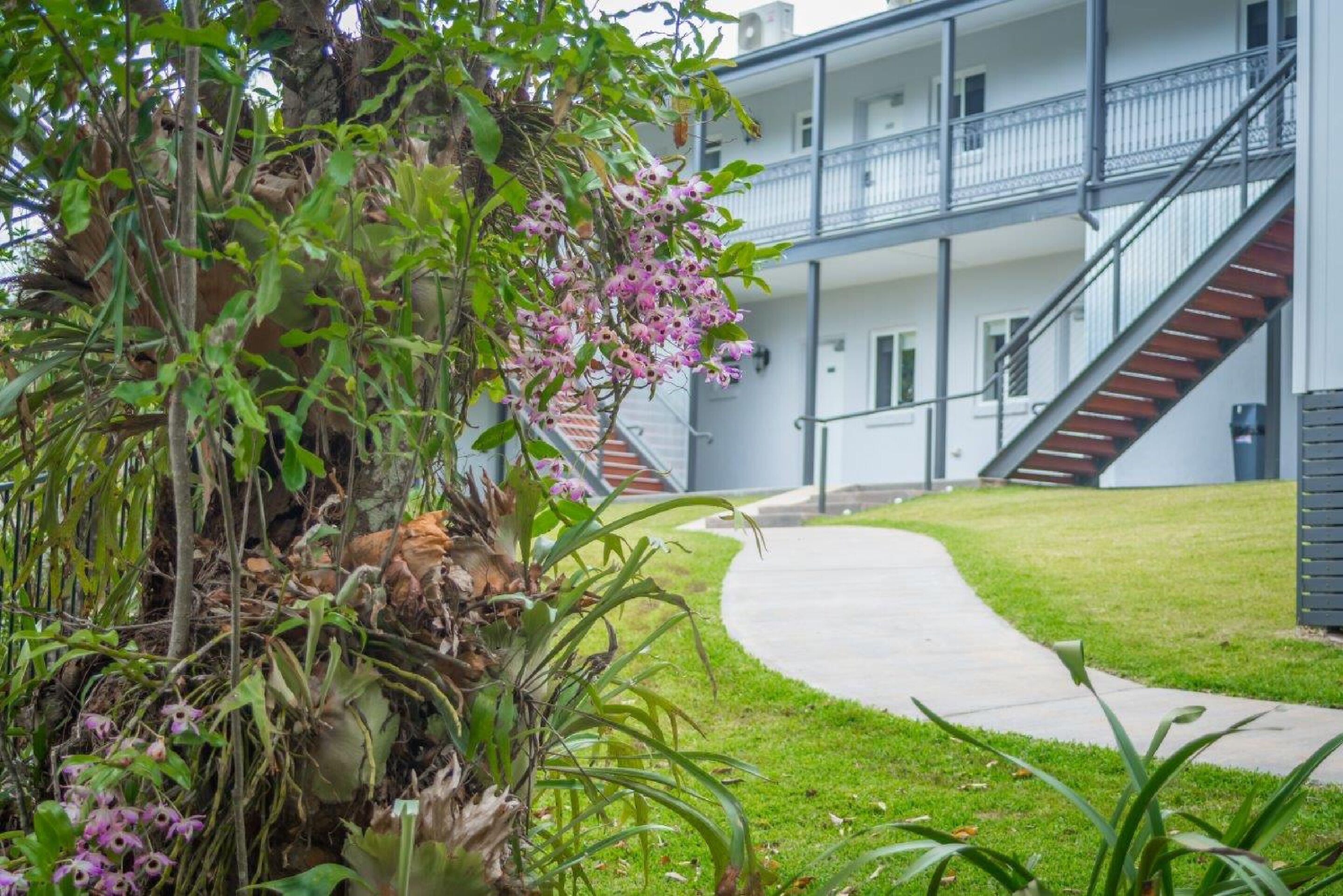 Clouds of Montville & Maleny