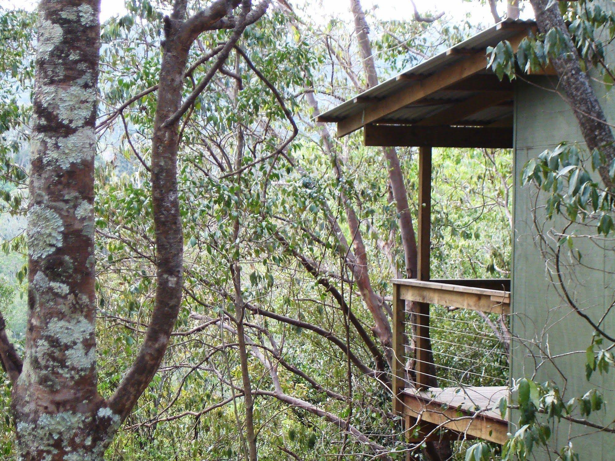 Hunchy Hideaway