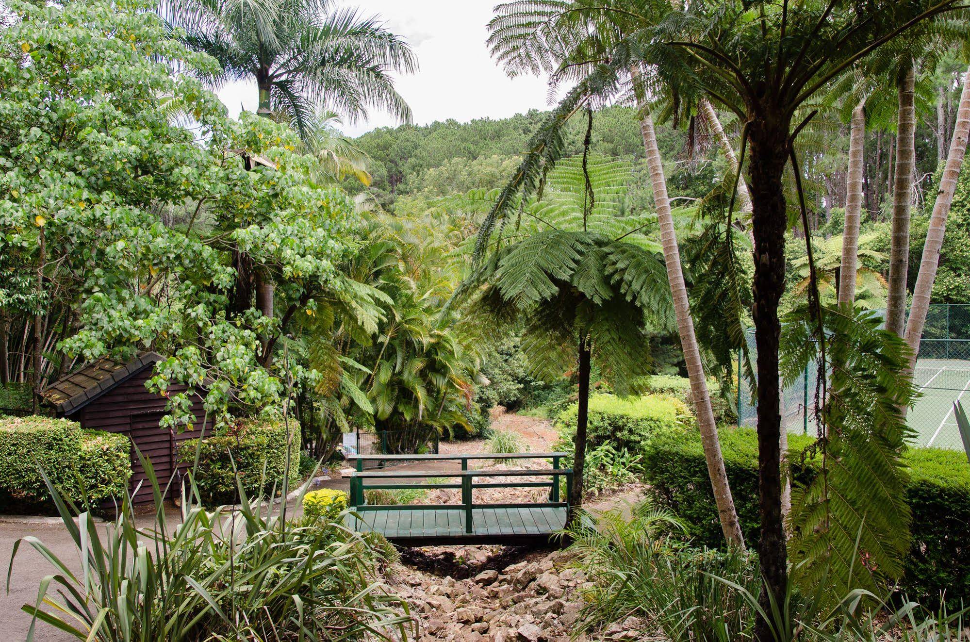 Montville Mountain Inn Resort