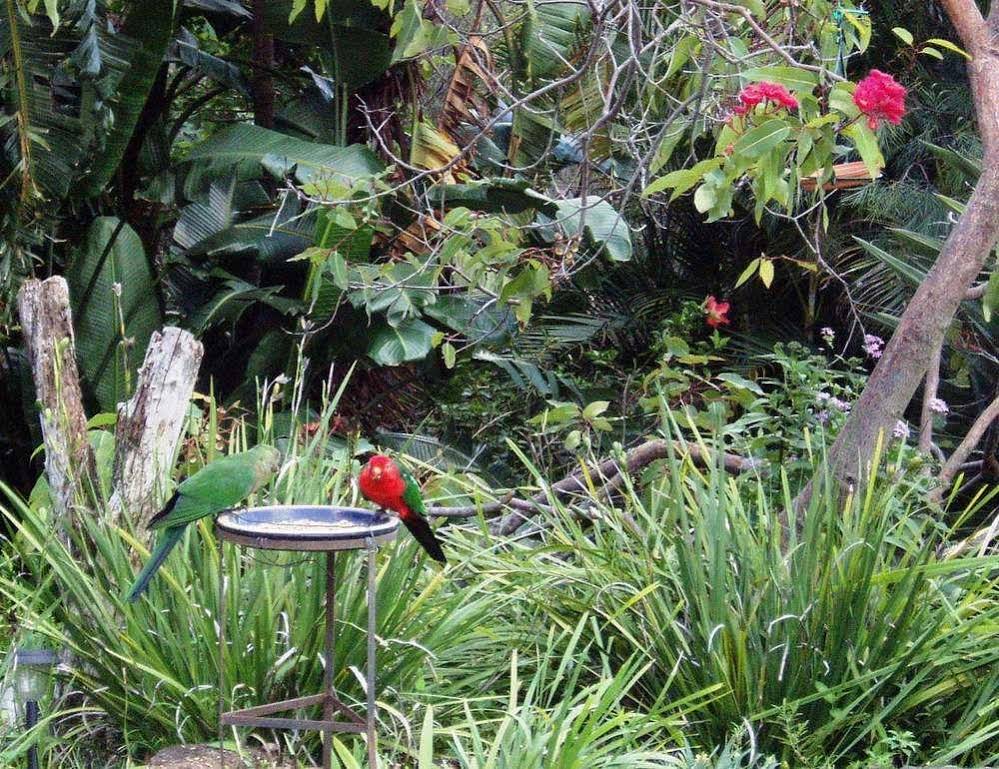 Montville Oceanview Cottages