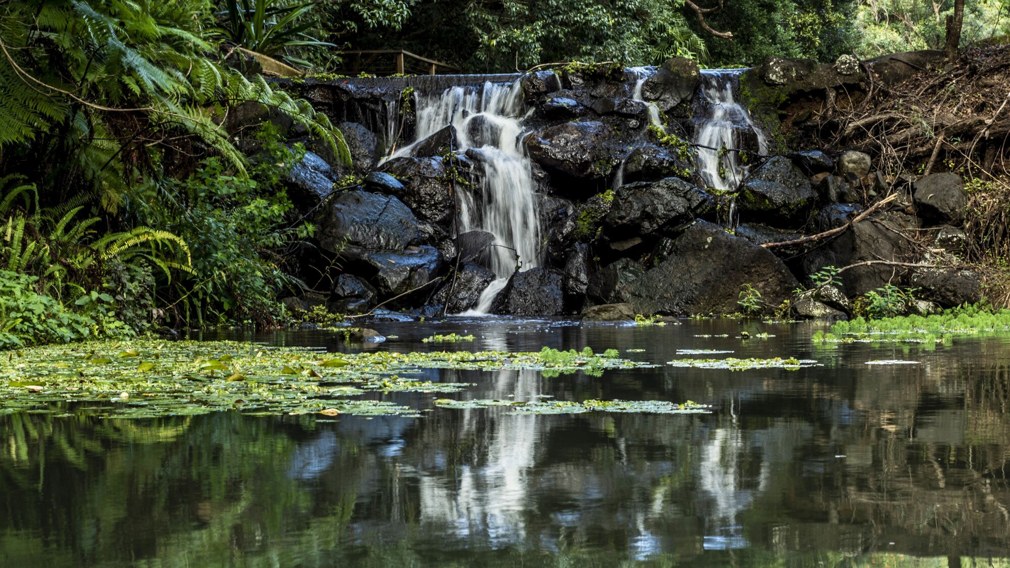 Kondalilla Eco Resort