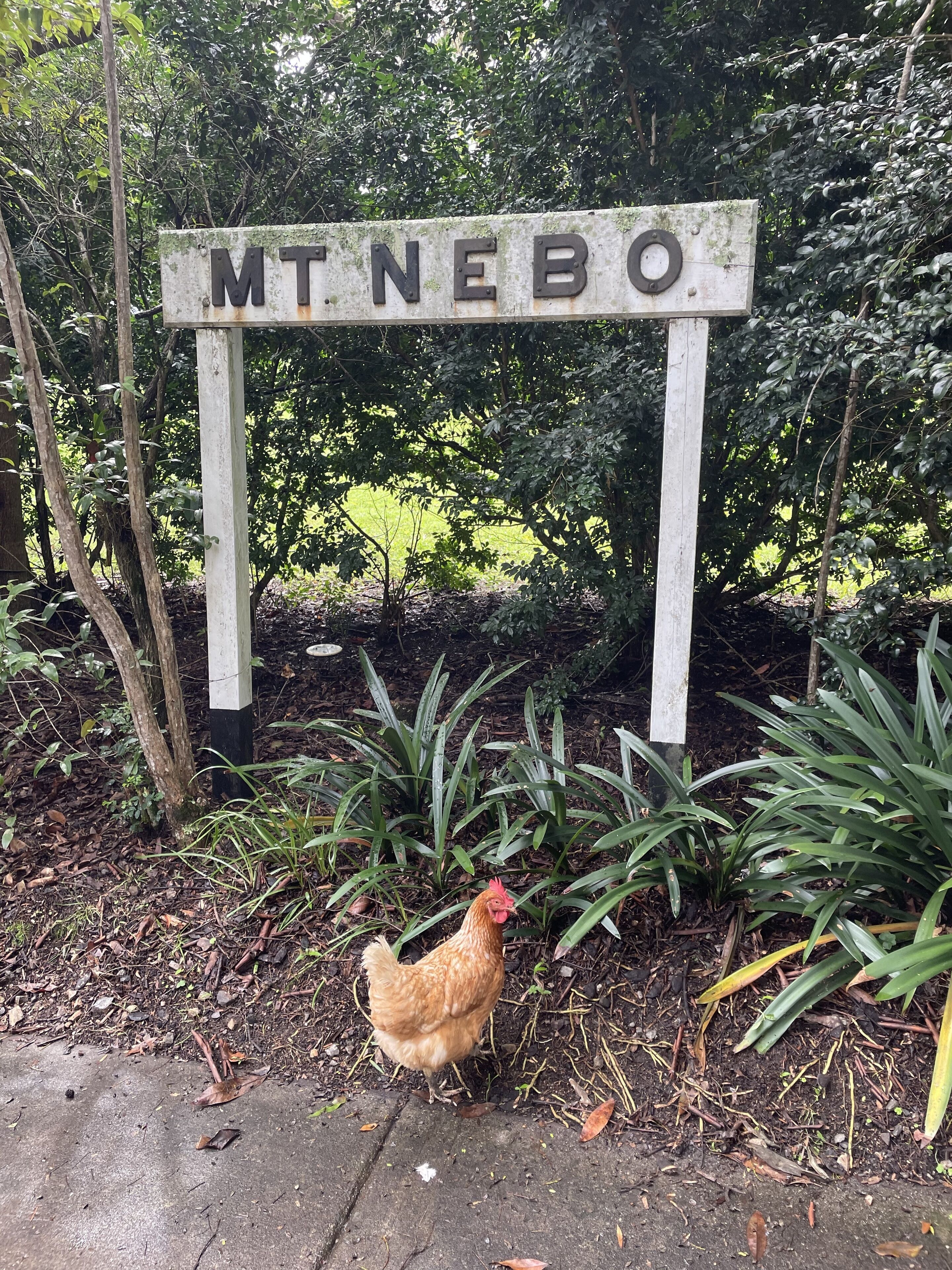 Mt Nebo Railway Carriage And Chalet