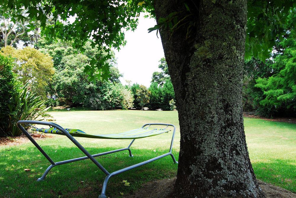 Camelot Boutique Accommodations