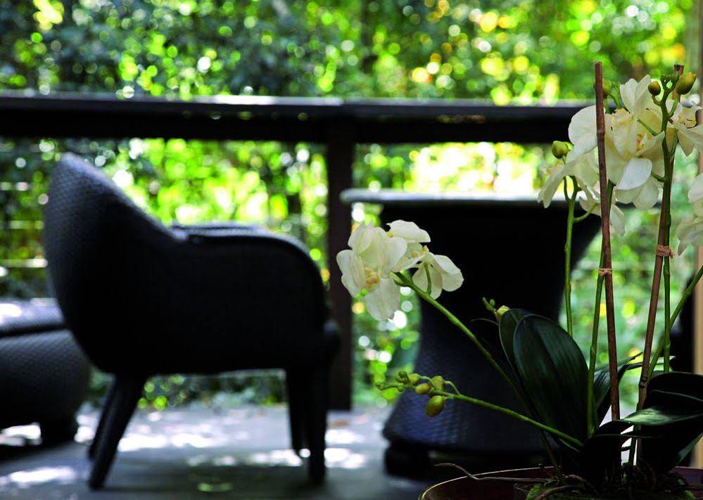 Songbirds Rainforest Retreat