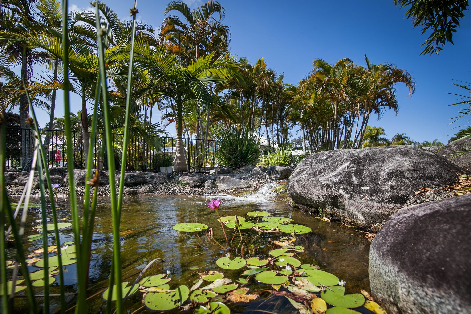 Ivory Palms Resort