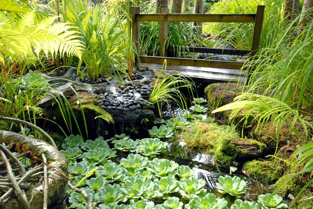 Noosavillage River Resort