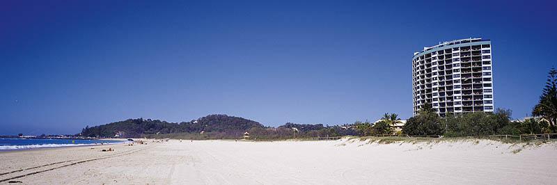 Princess Palm On The Beach