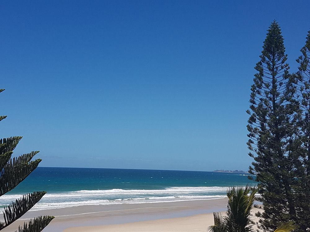 Surfers Horizons