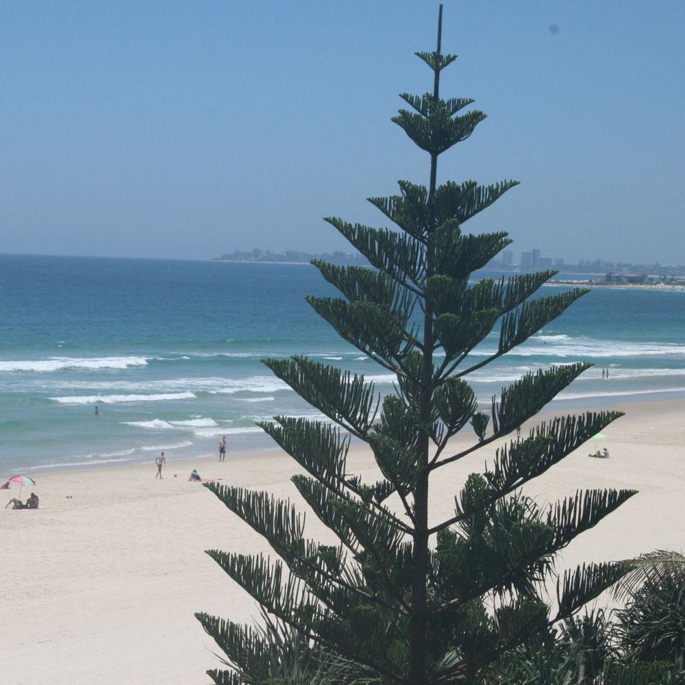 Surfers Horizons