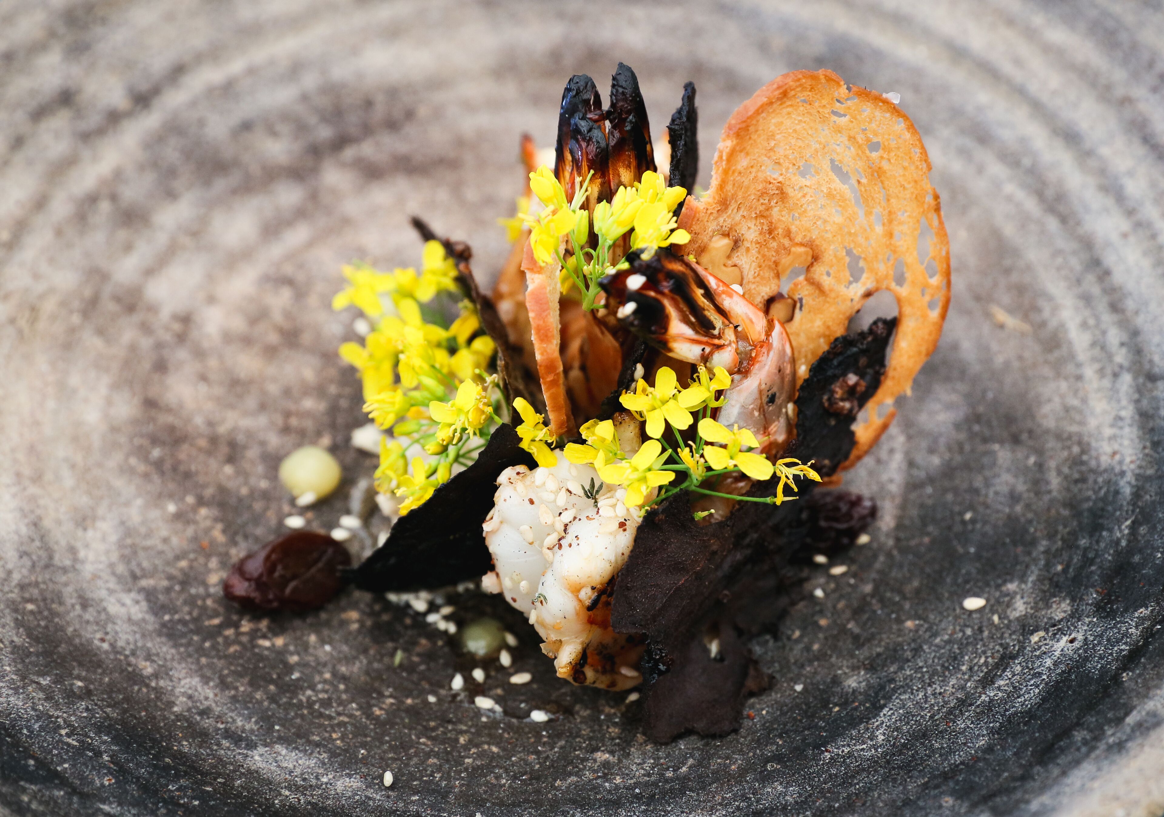 Alamanda Palm Cove by Lancemore