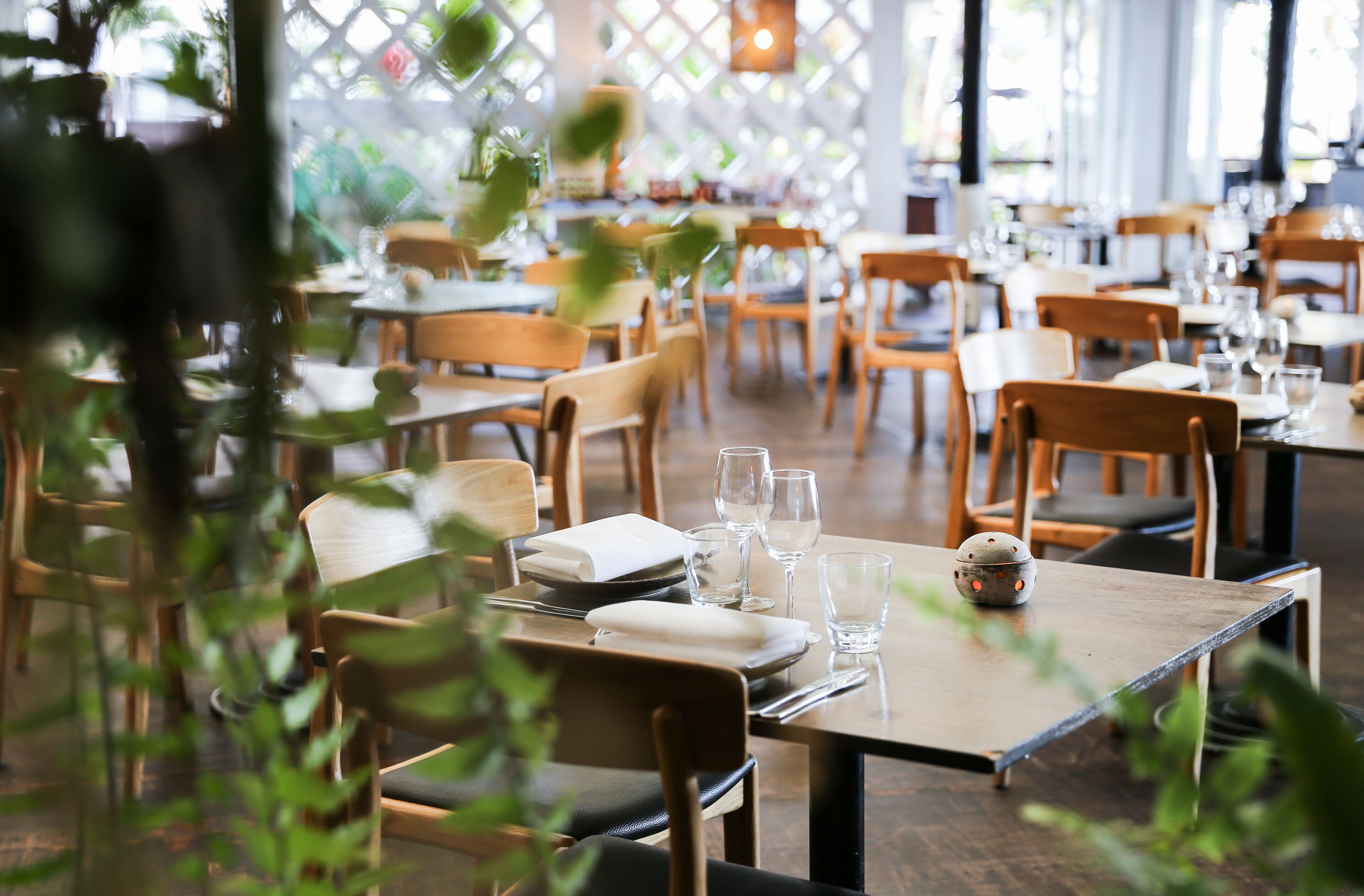 Alamanda Palm Cove by Lancemore