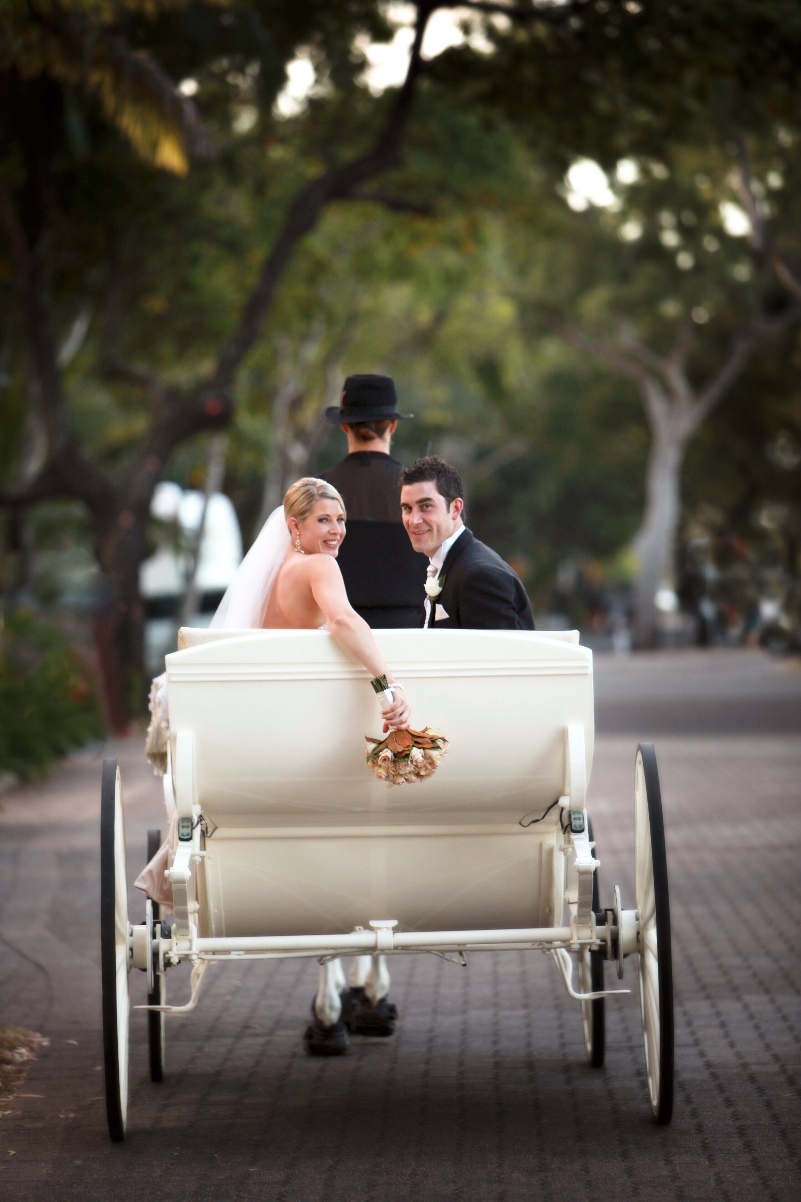 Alamanda Palm Cove by Lancemore