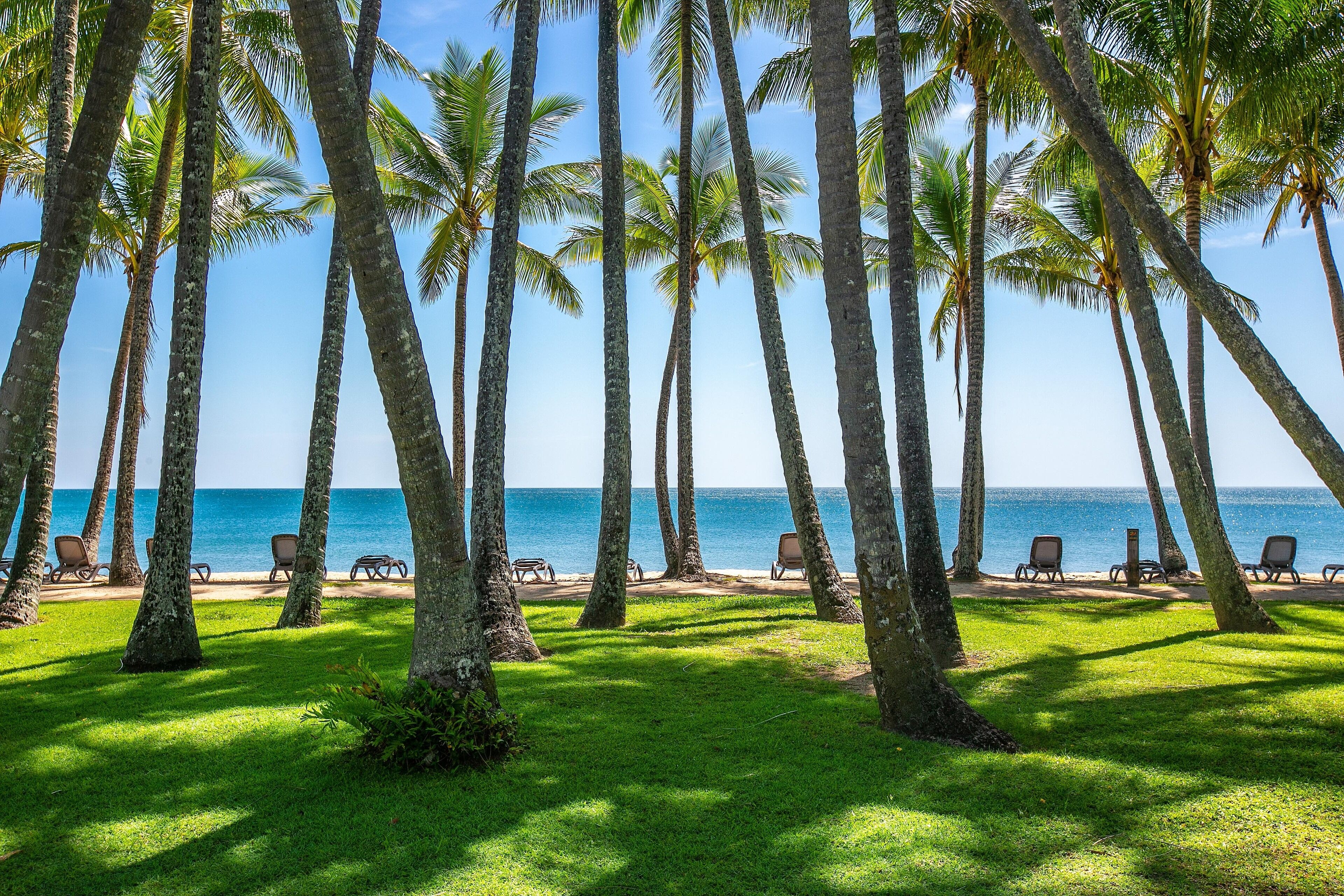 Alamanda Palm Cove by Lancemore