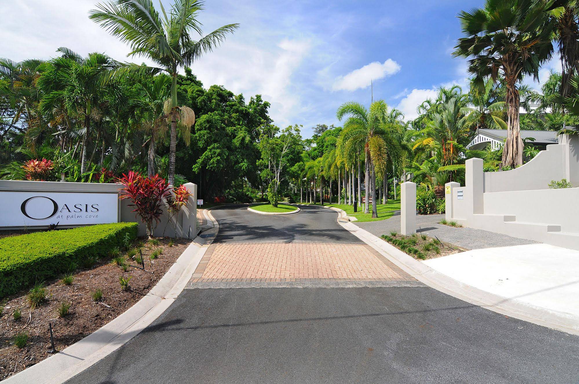 Oasis Palm Cove