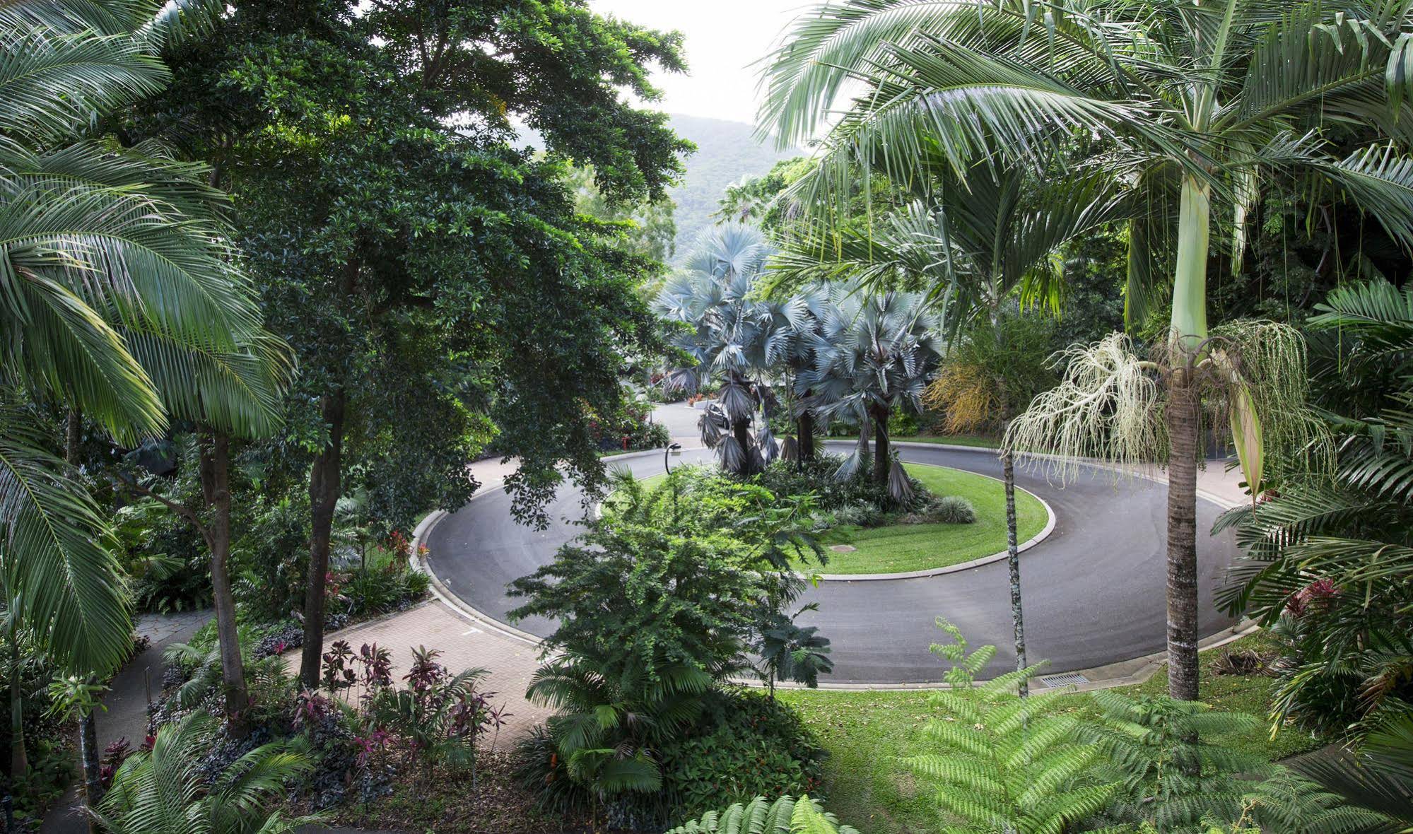 Oasis Palm Cove