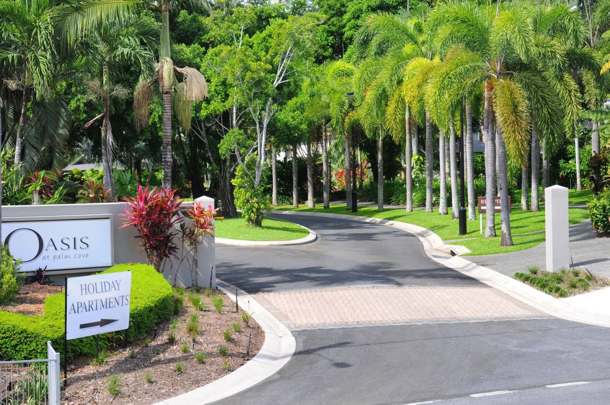 Oasis Palm Cove