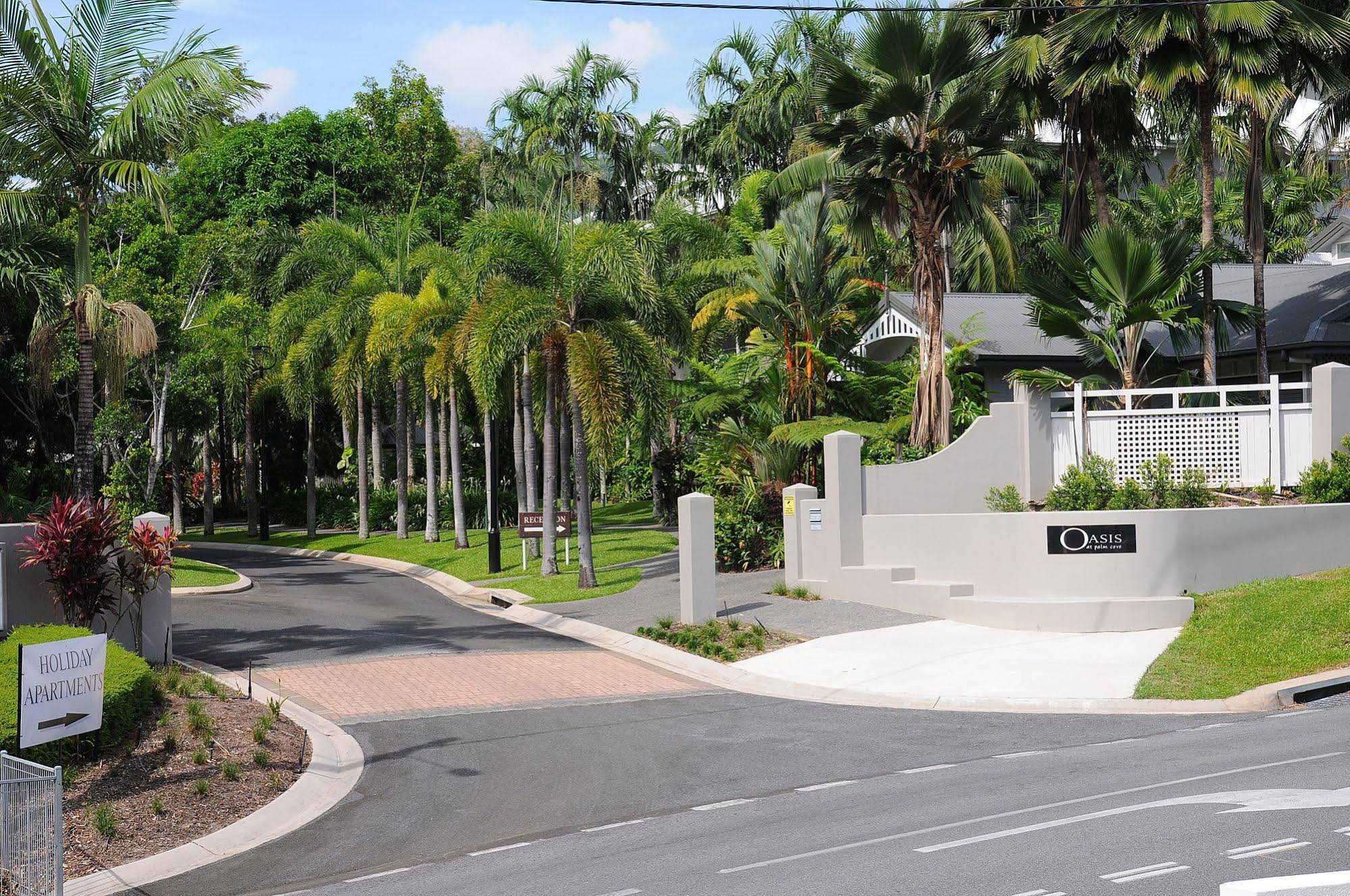 Oasis Palm Cove