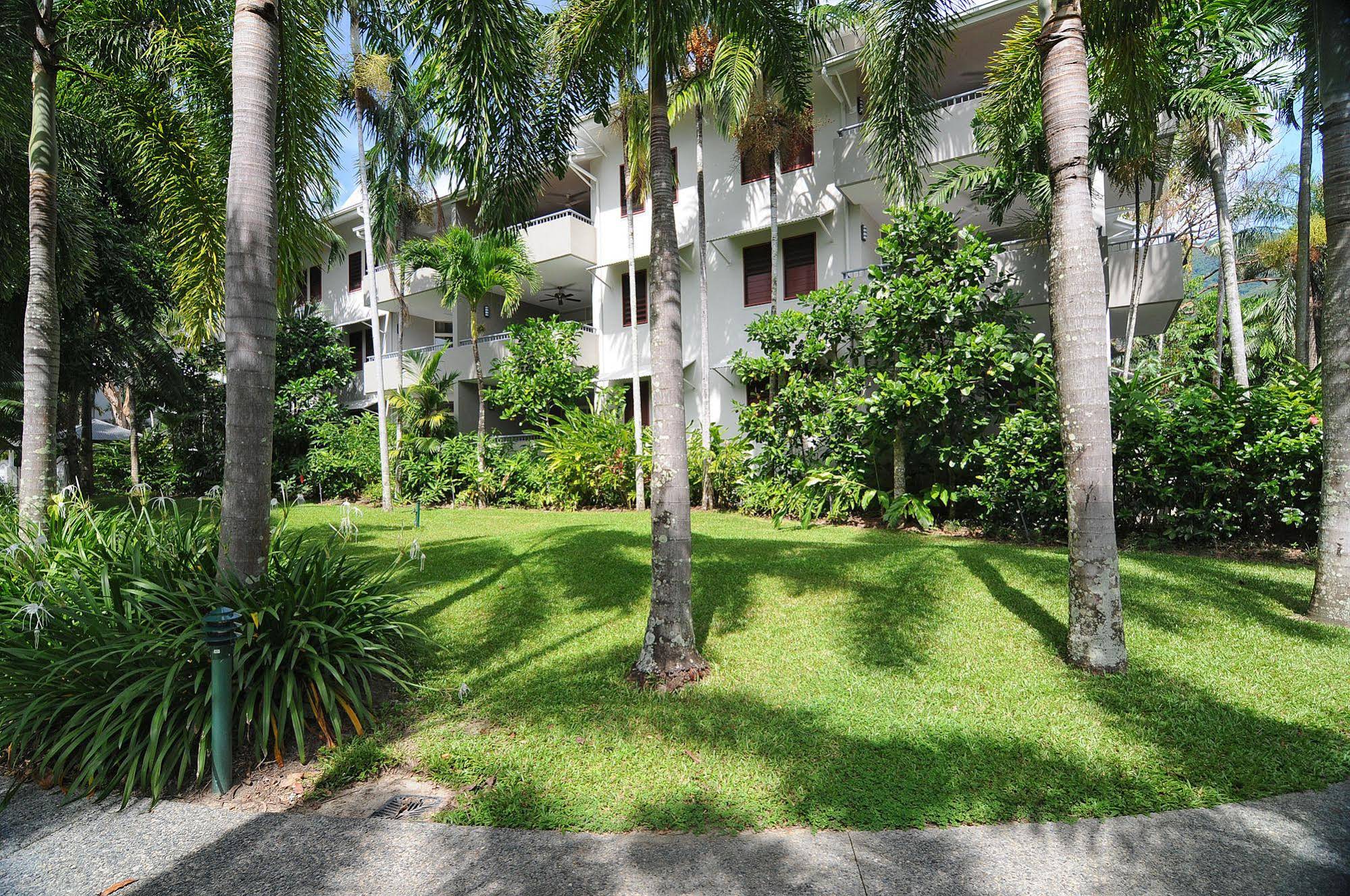 Oasis Palm Cove