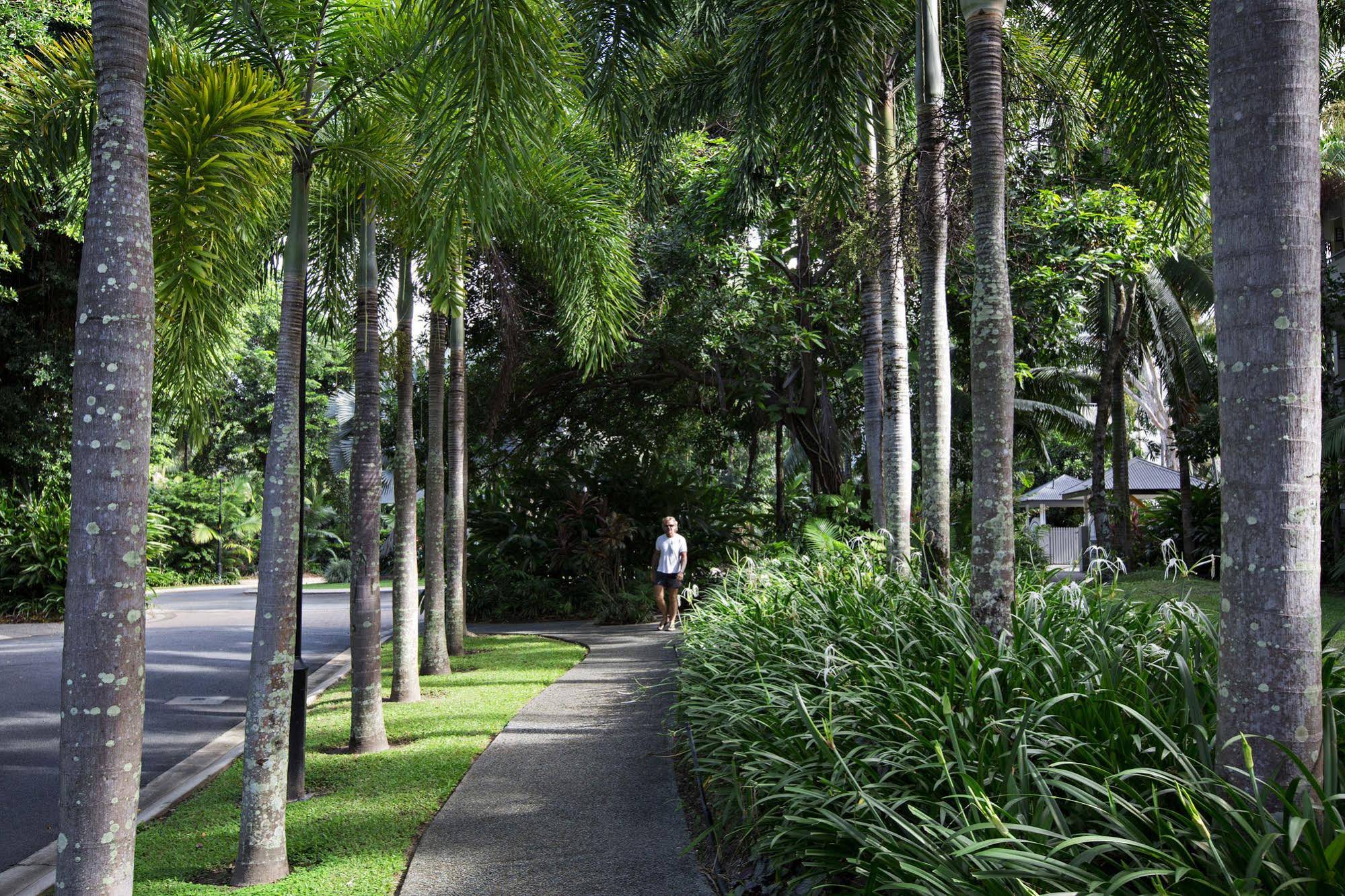 Oasis Palm Cove