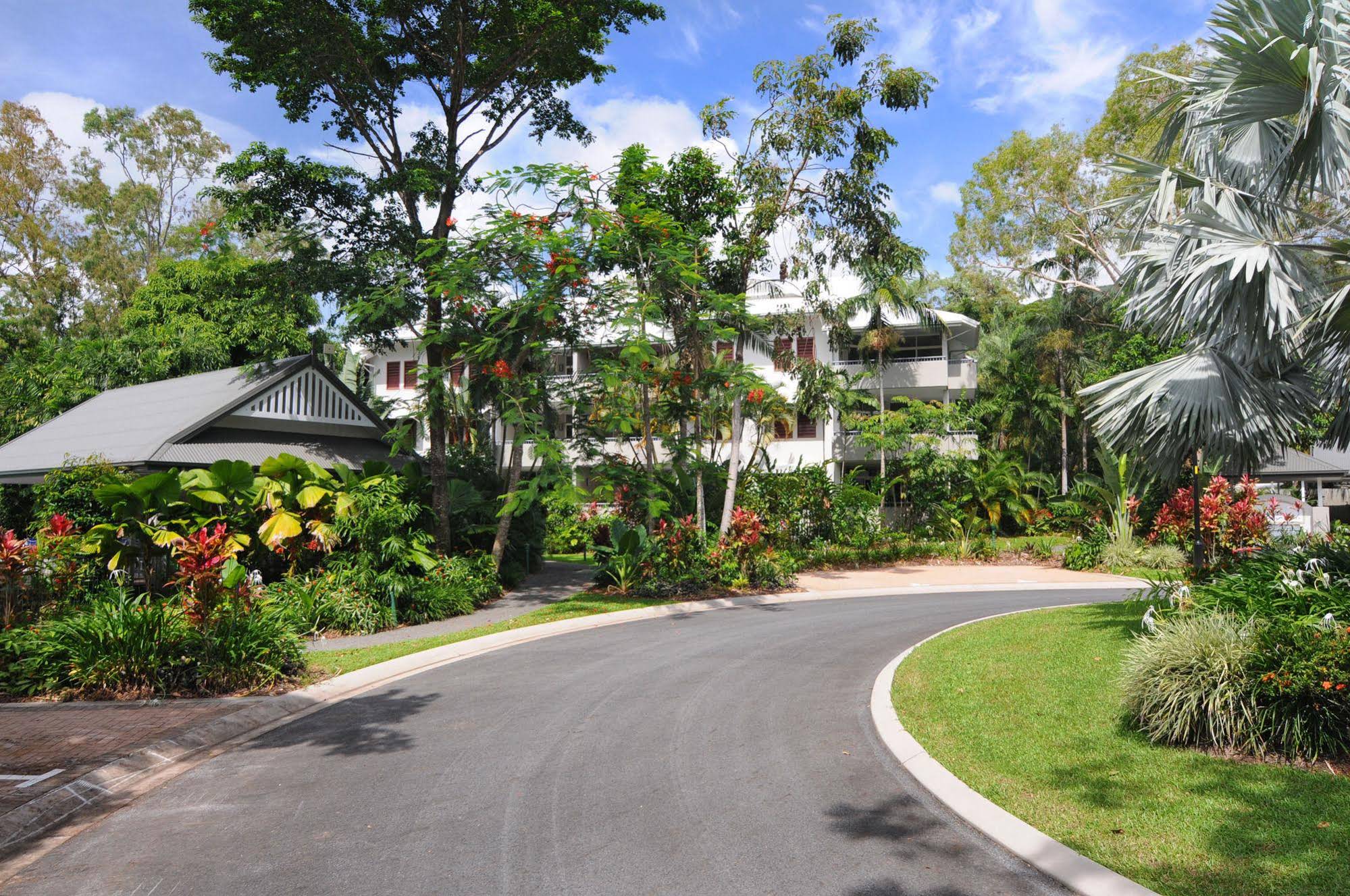 Oasis Palm Cove
