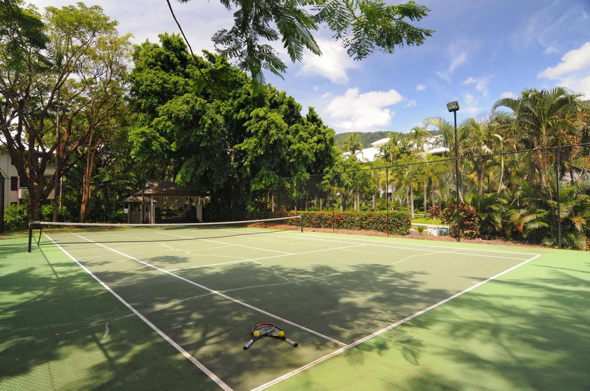 Oasis Palm Cove