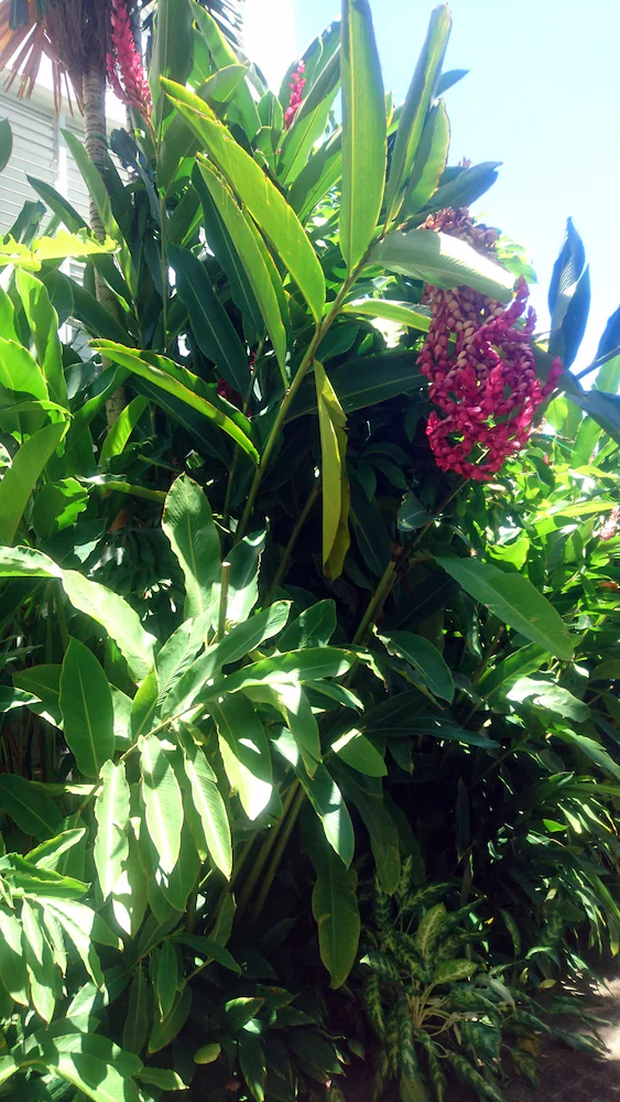 The Beach Club Luxury Private Apartments