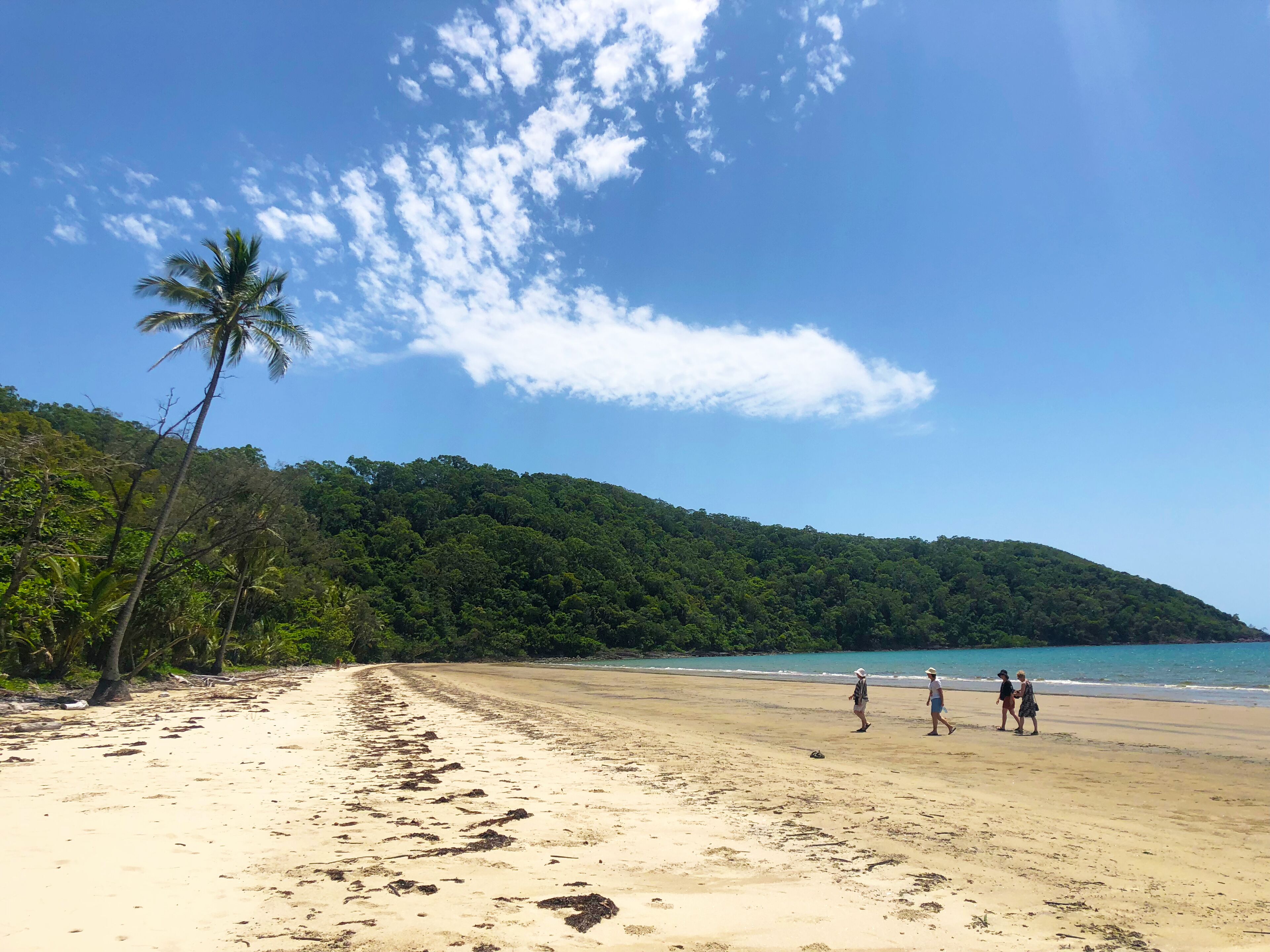 Villa Beach Palm Cove
