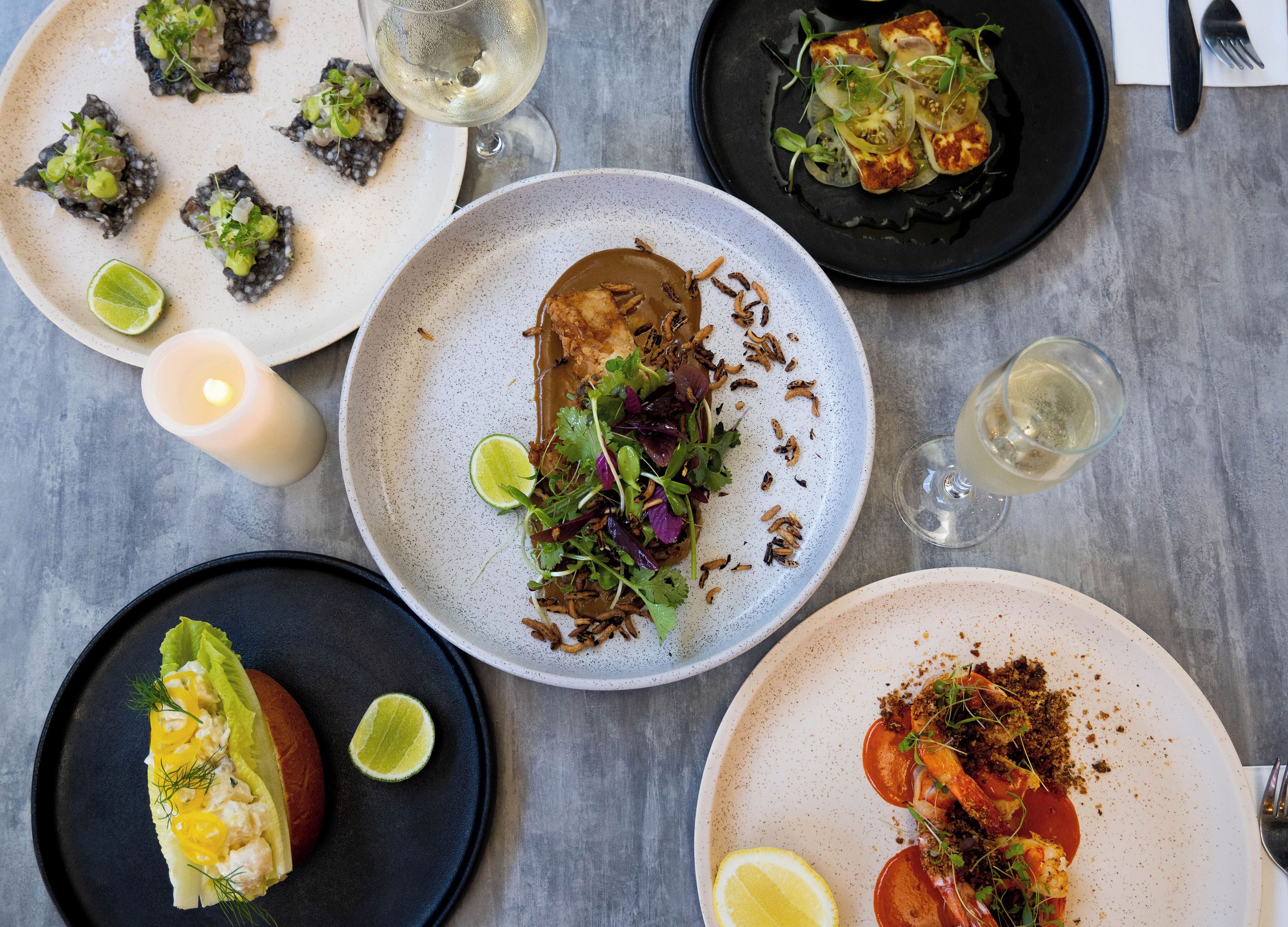 Essence Peregian Beach