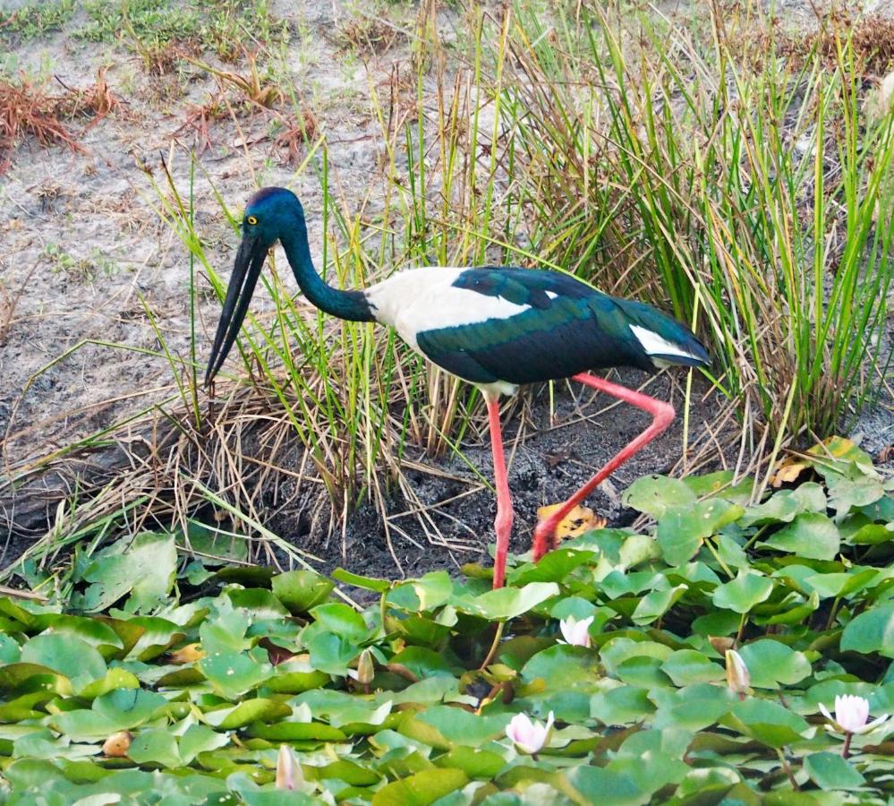 Lake Weyba Cottages Noosa