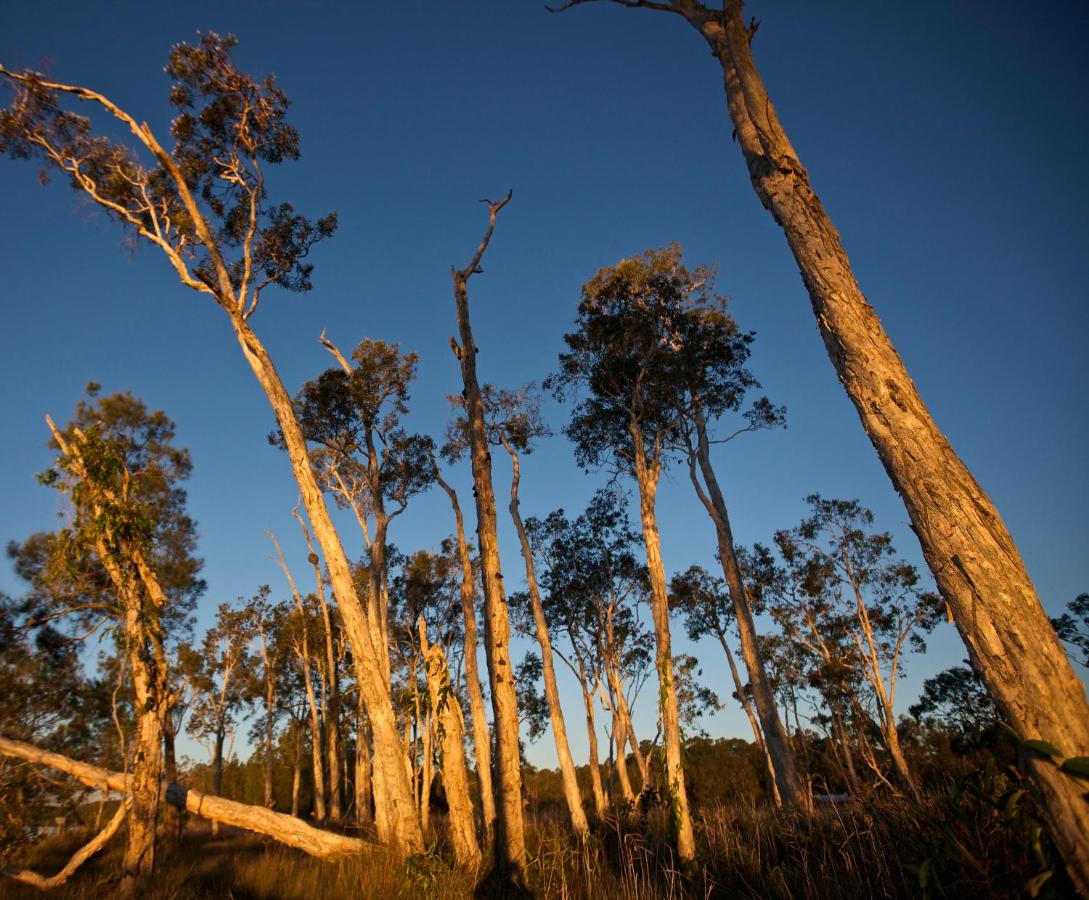 Lake Weyba Cottages Noosa